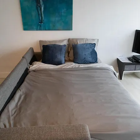 Modern Met Uniek Zeezicht Koksijde