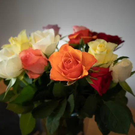 Modern Met Uniek Zeezicht Appartamento