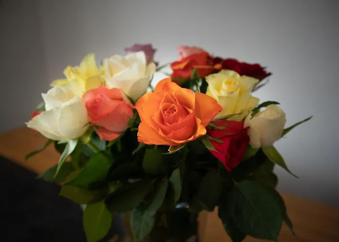 Modern Met Uniek Zeezicht Appartement